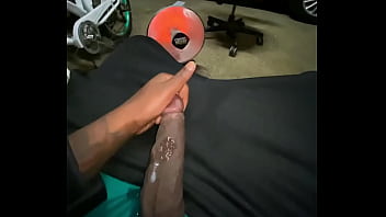 beaver hunt 2