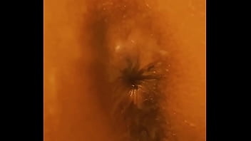 animated fox porn
