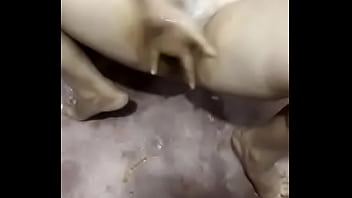 boobs kissing com