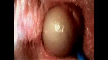 video inside vagina during sex