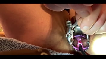 urethral sounding videos