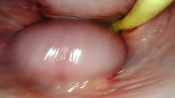 camera inside ass