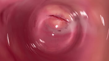 camera inside of the vagina