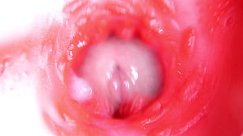 camera inside ass