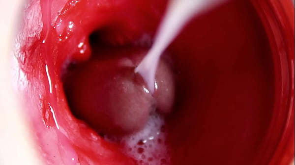 camera inside the anus