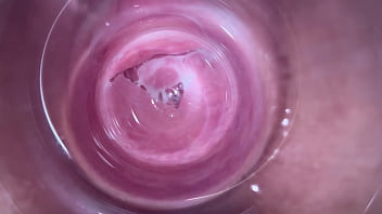 penis stuck in a vagina